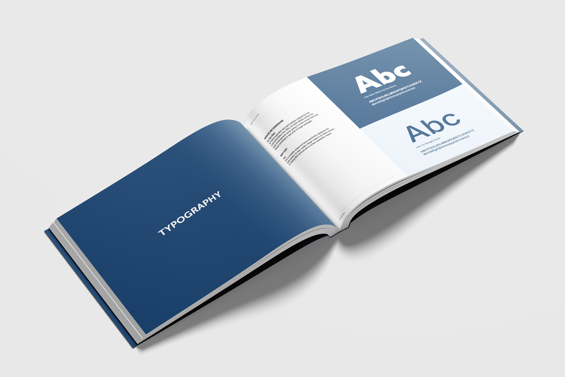IMS - Brand Guidelines
